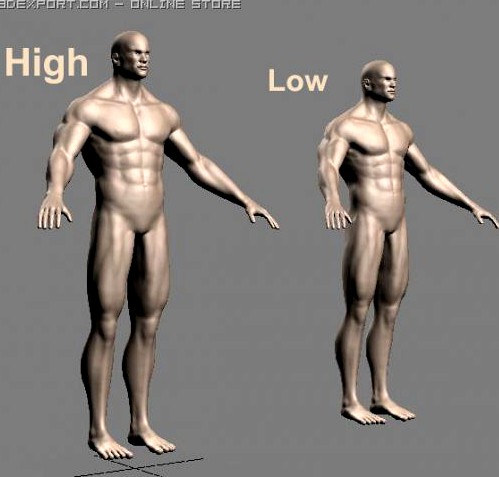 Athletic male + normal maps 3D Model