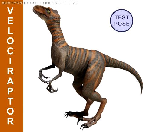 Velociraptor 3D Model