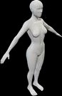 Standard Female Figure