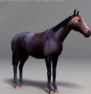 Horse 3D Model