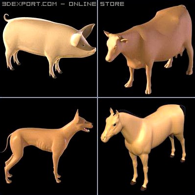 Animal Collection 3D Model