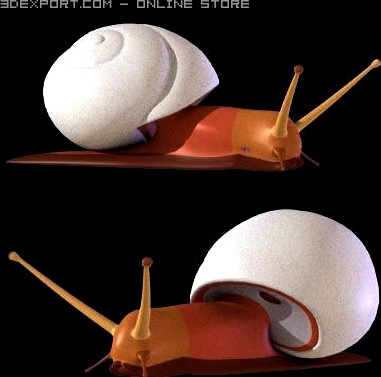 Snail anatomy 3D Model