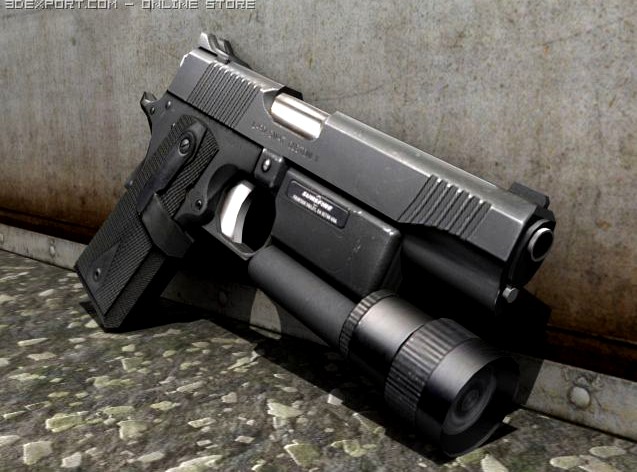 Kimber Custom II SWAT 3D Model