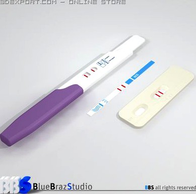 Pregnancy test 3 3D Model