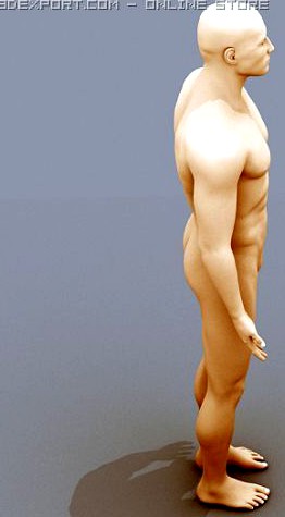 Male Body 02 3D Model