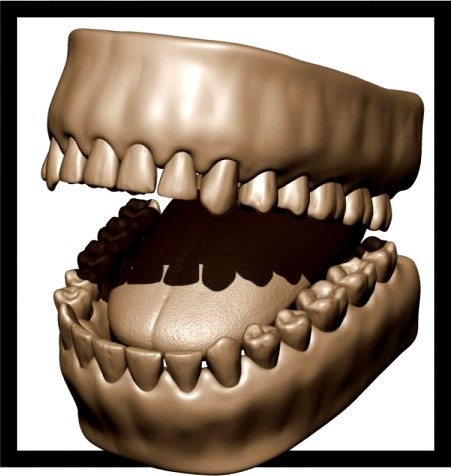 Teeth and Tongue 3D Model