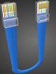 patch cable