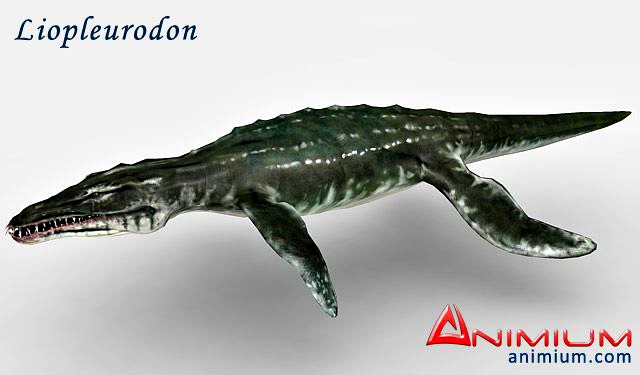 Liopleurodon 3d model