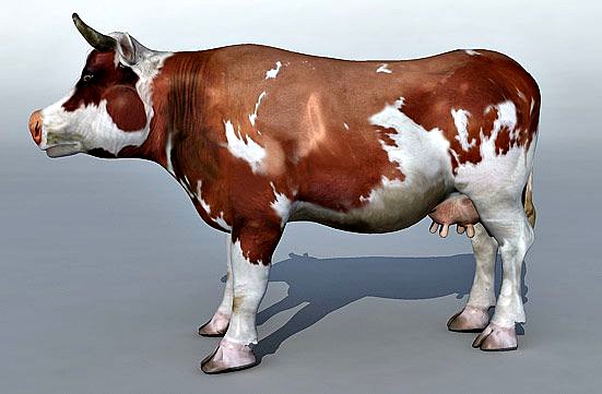 Cow 3d model