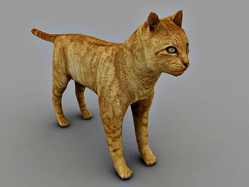 Cat 3d model