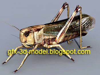 Grasshopper 3d model