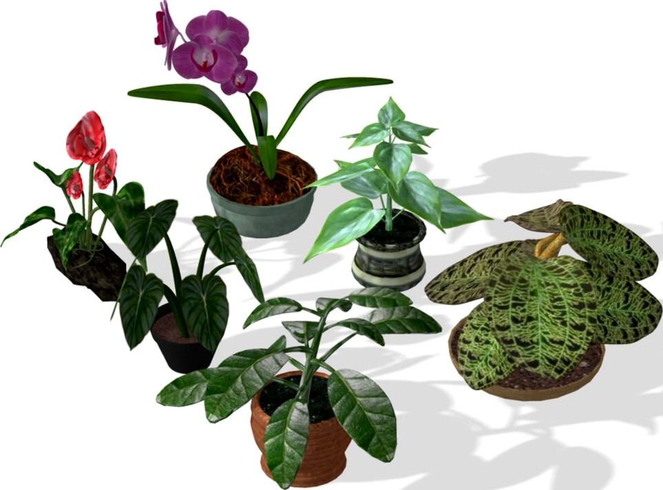 Plants Set 1 for Poser