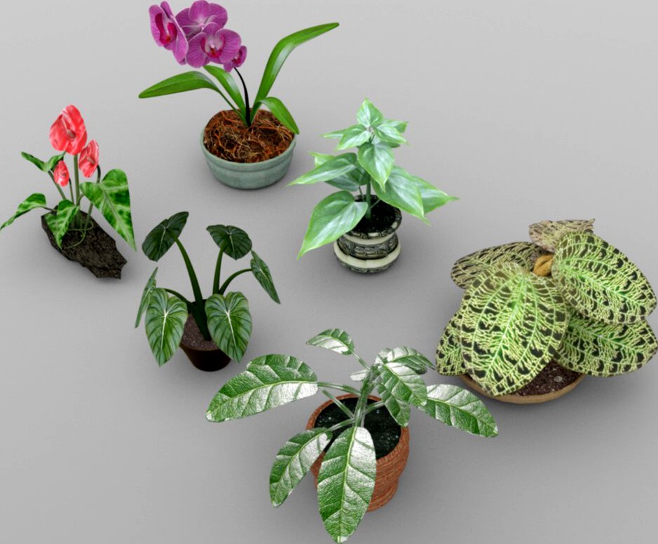 Plants Set 1 for DAZ Studio