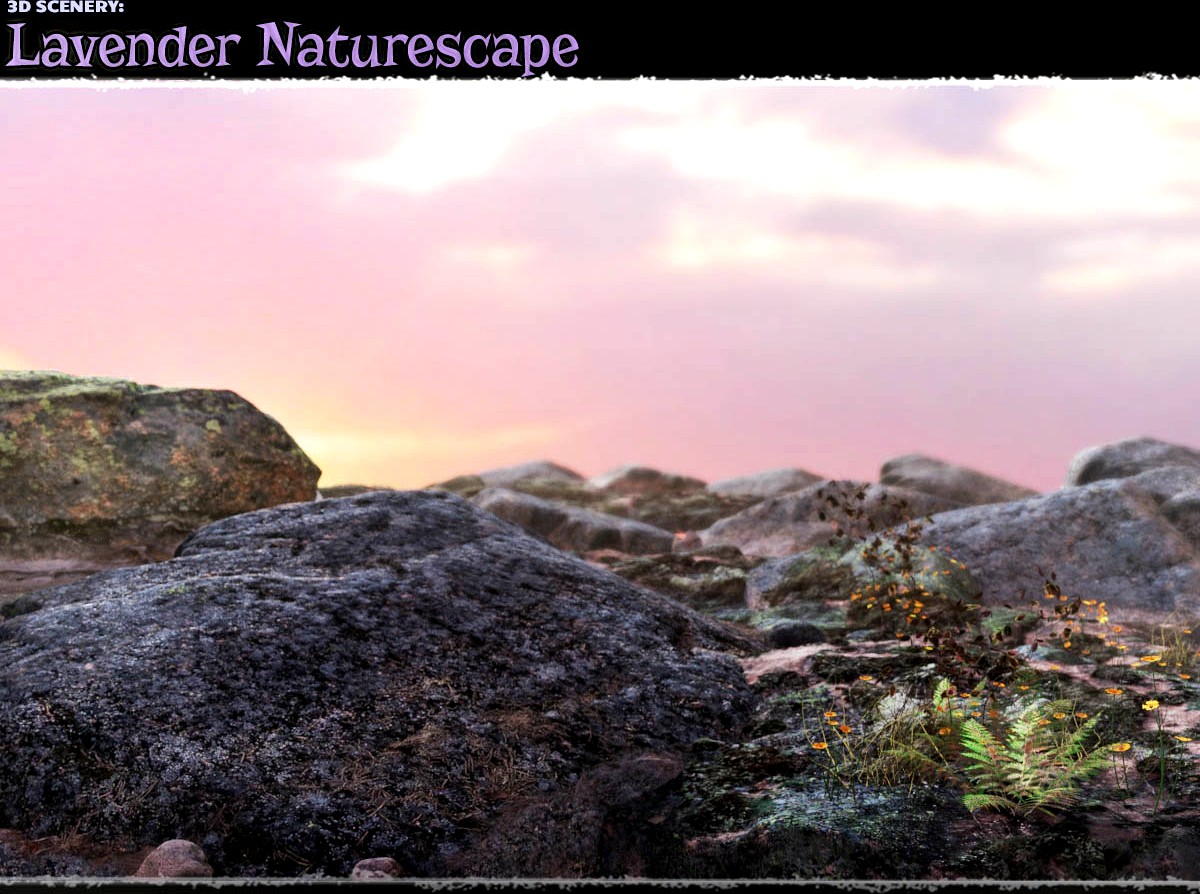 3D Scenery: Lavender Naturescape - Extended License