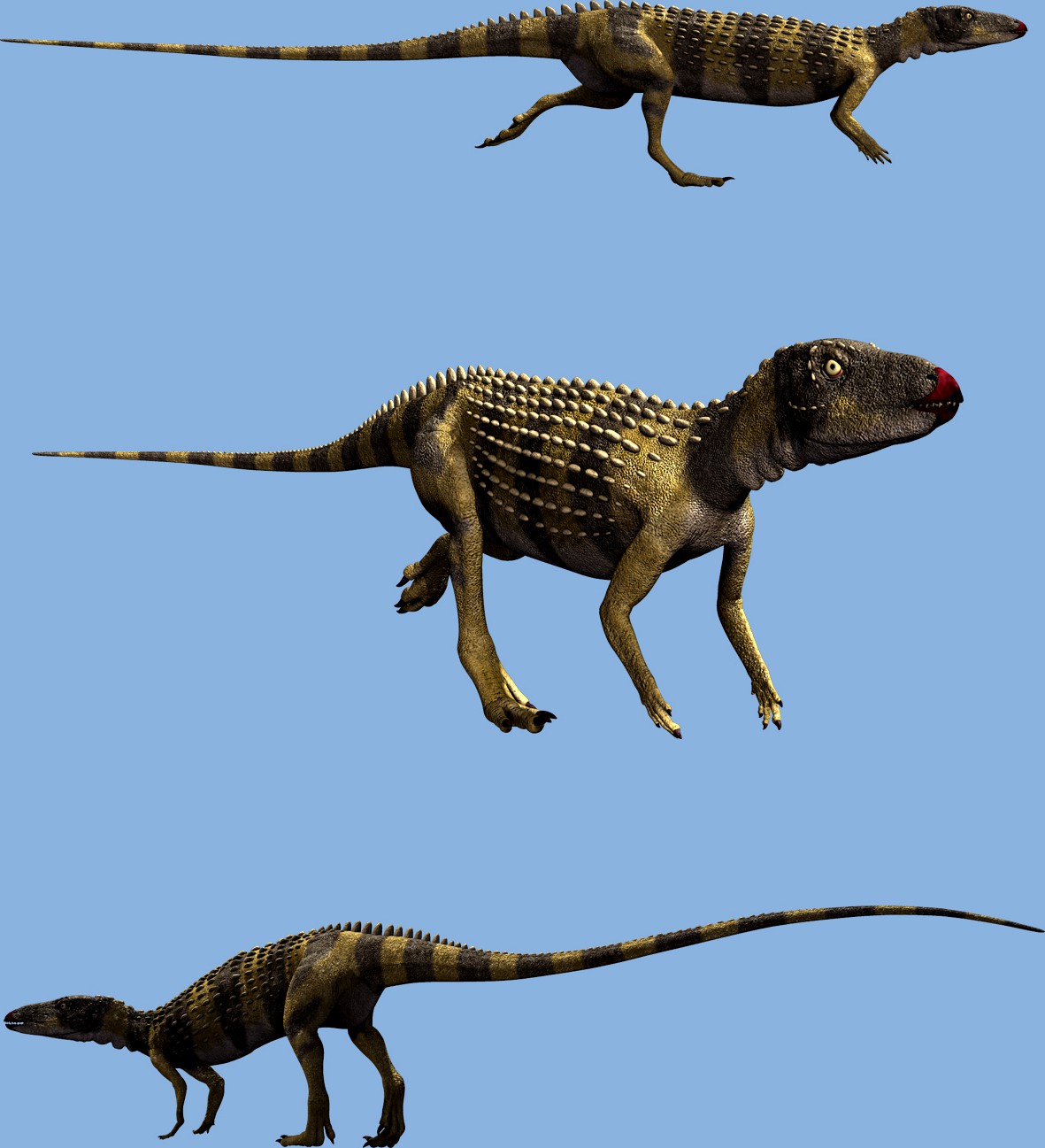 ScutellosaurusDR