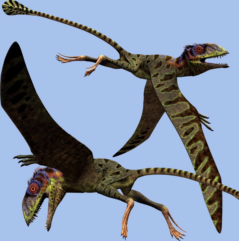PeteinosaurusDR - Extended License
