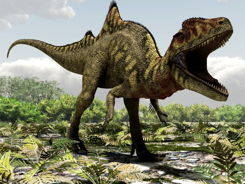 ConcavenatorDR - Extended License