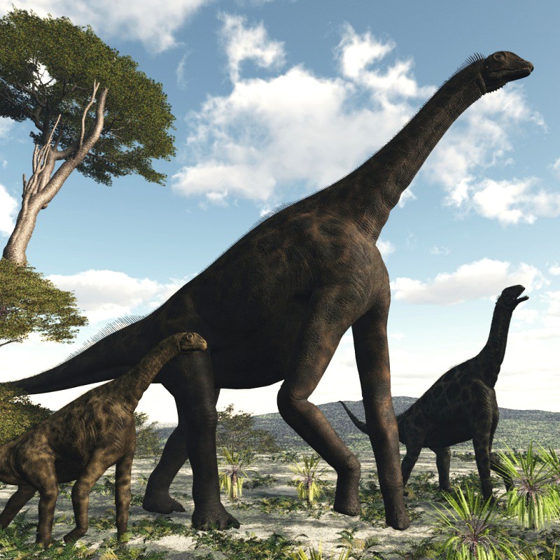 AtlasaurusDR - Extended License