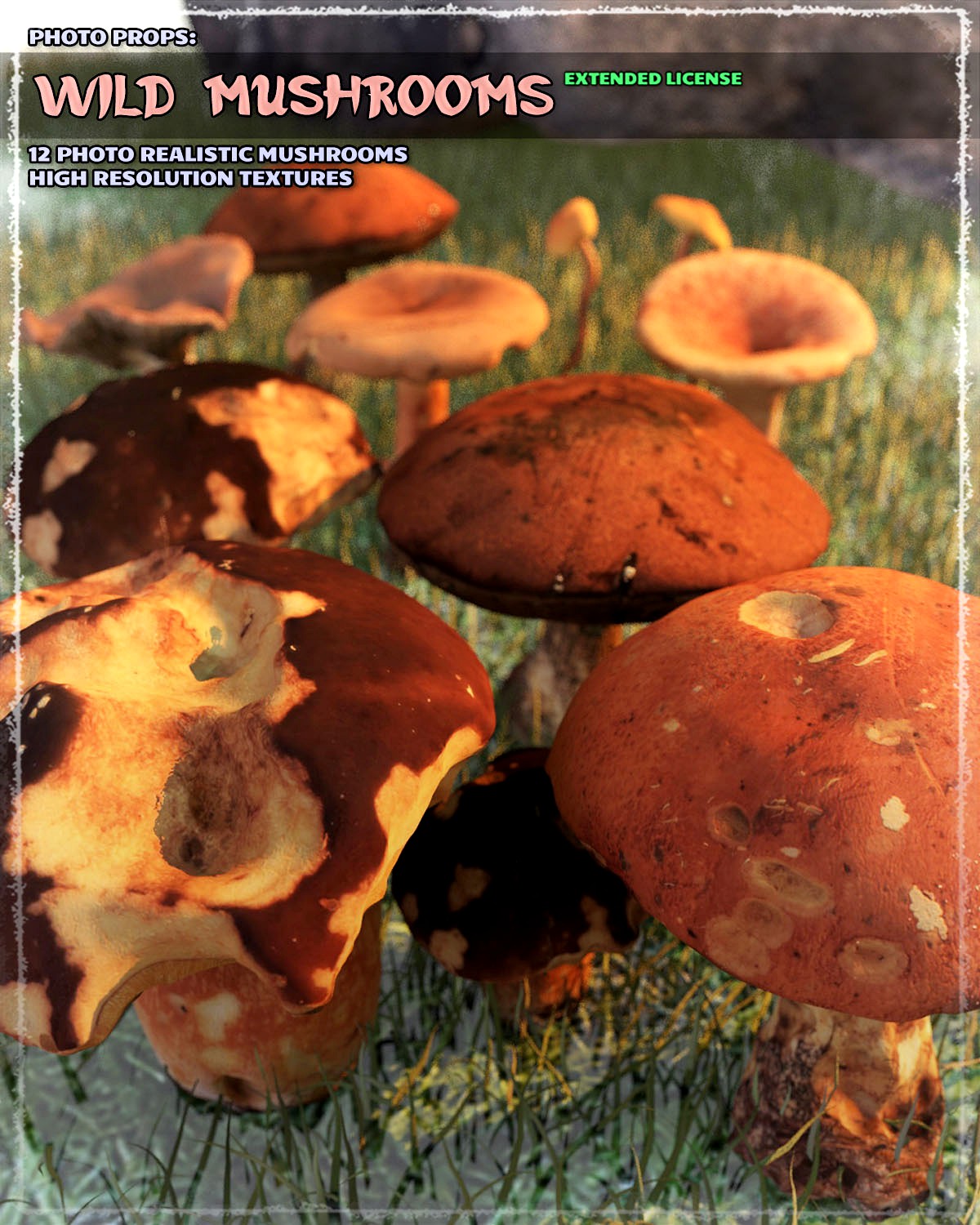 Photo Props: Wild Mushrooms - Extended License