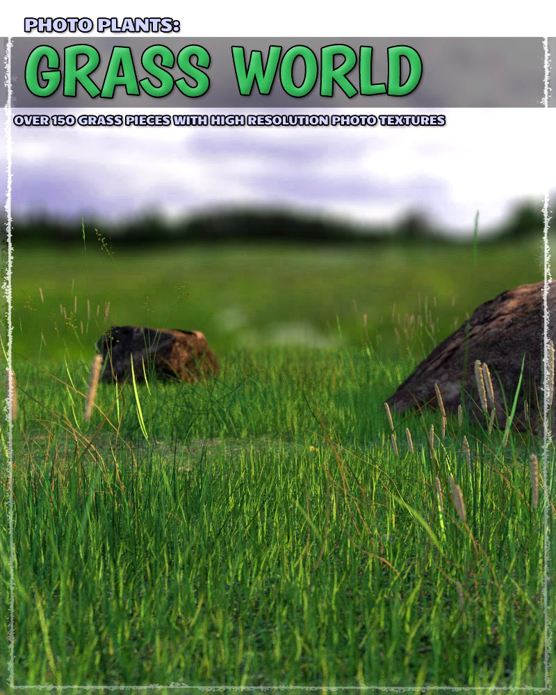 Photo Plants: Grass World