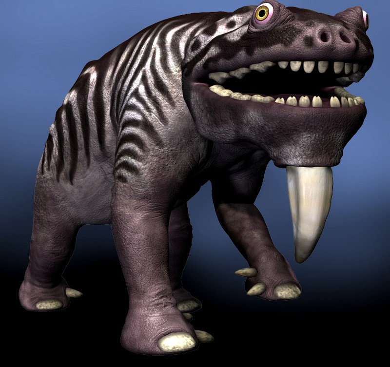 Matitobos DR