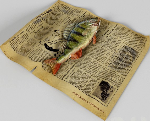 Рыба на газете