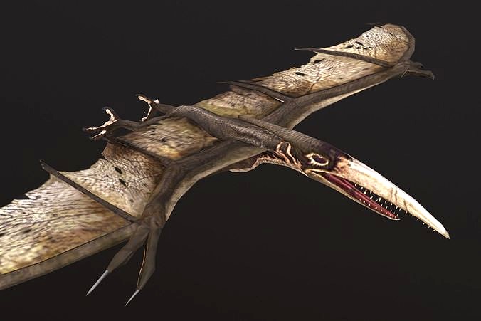 Pteranodon