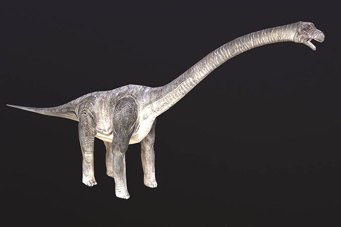 Brachiosaurus