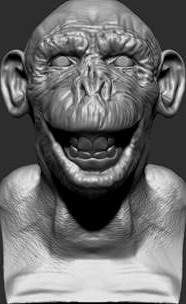 Chimpanzee bust | 3D
