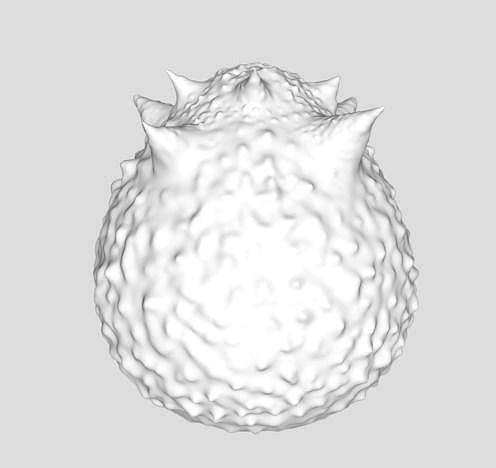 Horned Egg | 3D