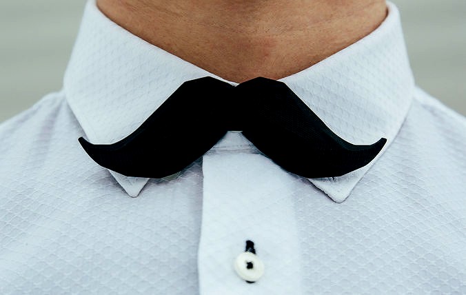 Moustache Bow tie | 3D