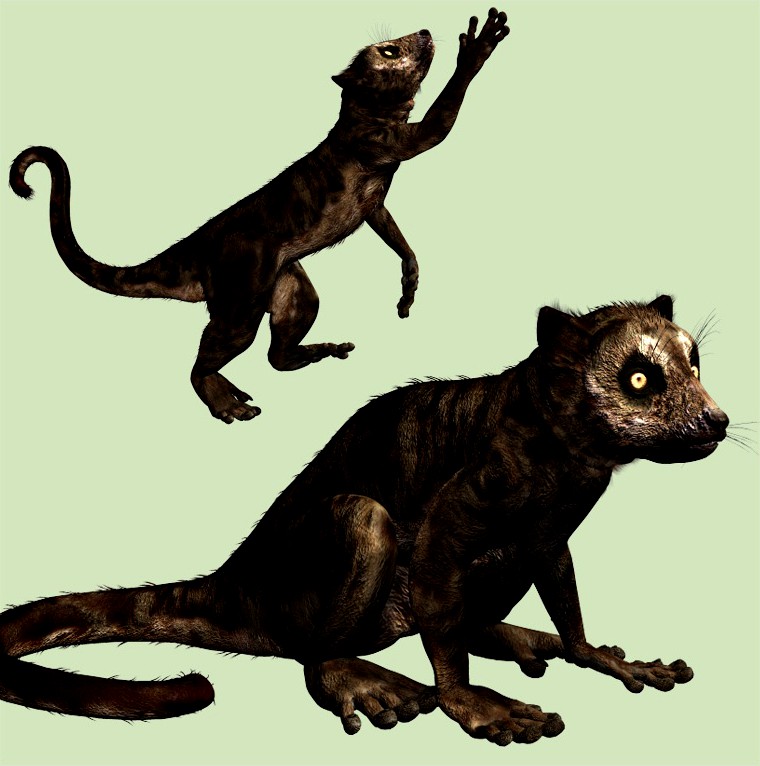 DarwiniusDR