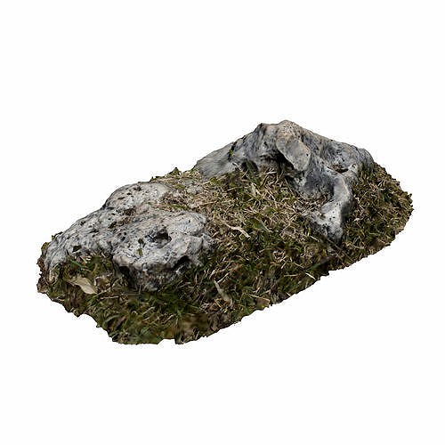 Grassy Rock