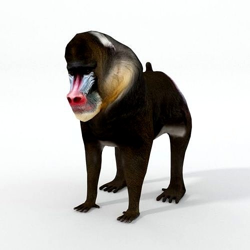 Mandrill