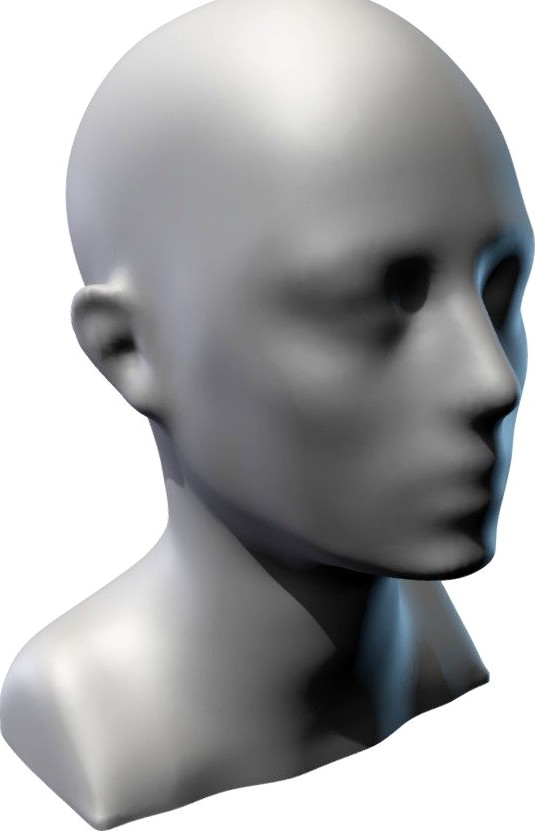 Female Mannequin Head