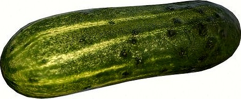 Cucumber