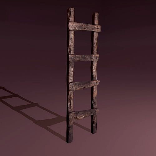 Old Dirty Ladder