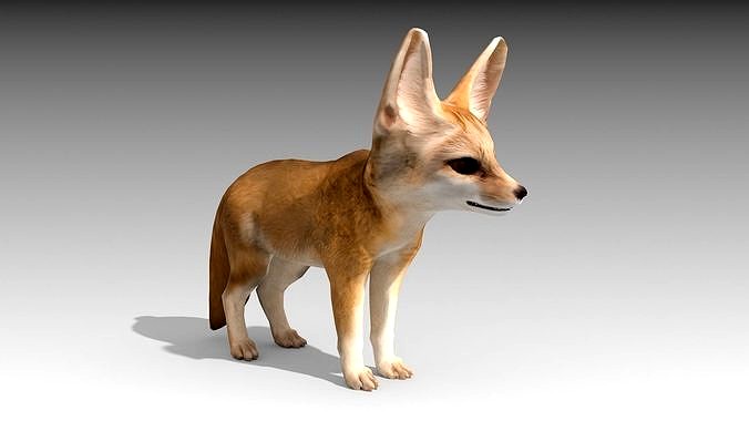 Fennec