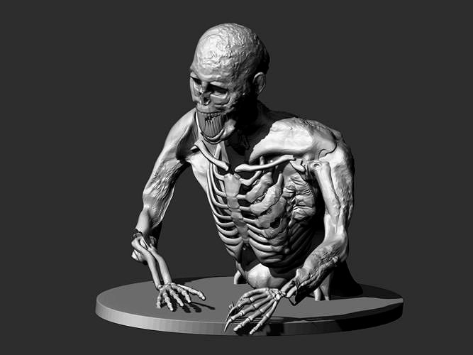 Half Zombie | 3D