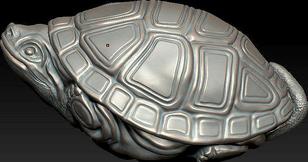 tortoise | 3D