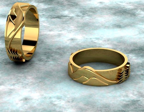 rings with landscape | 3D