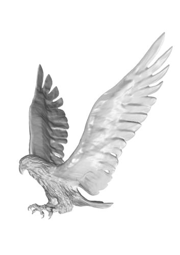 hawk attack | 3D