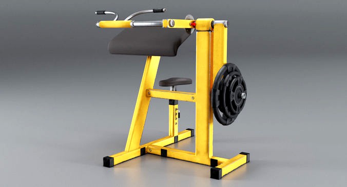 Simulator for Biceps