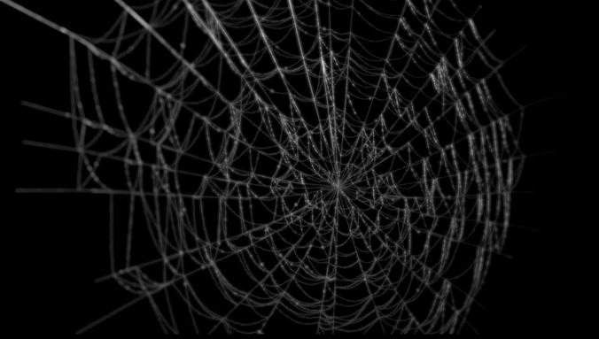 Spiderweb