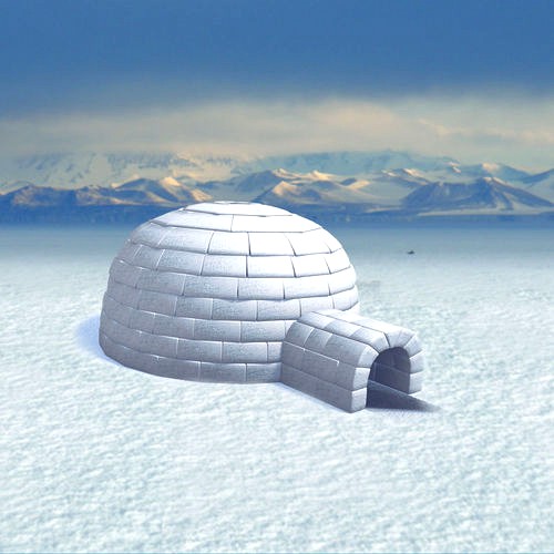 Igloo