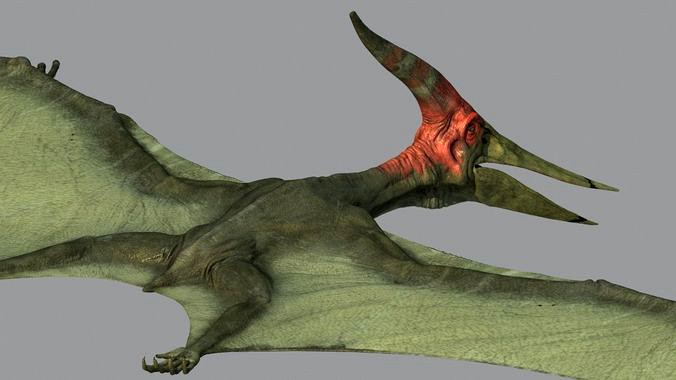 Pterodon animations