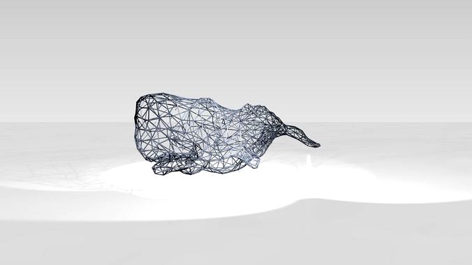 Whale Wireframe