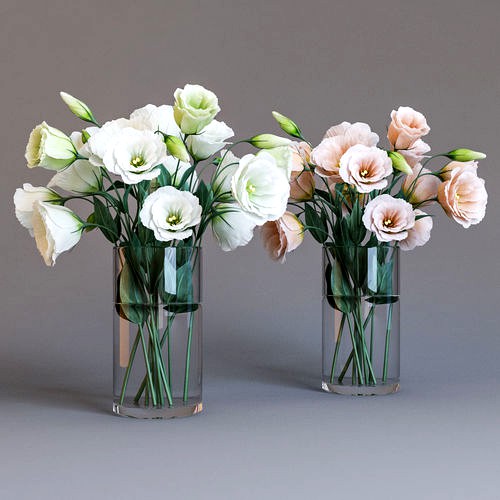 Eustoma