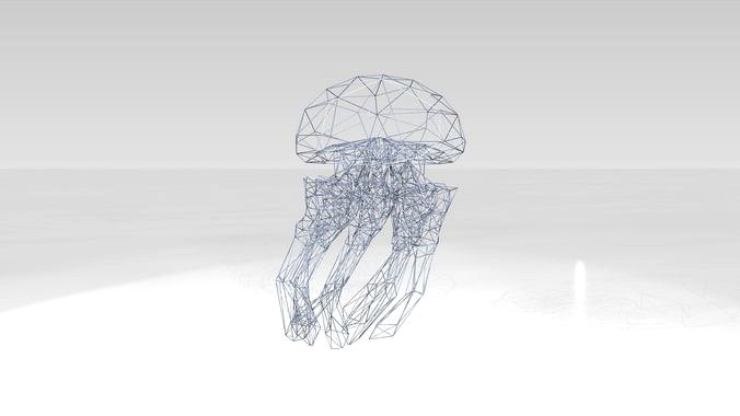 Jellyfish Wireframe