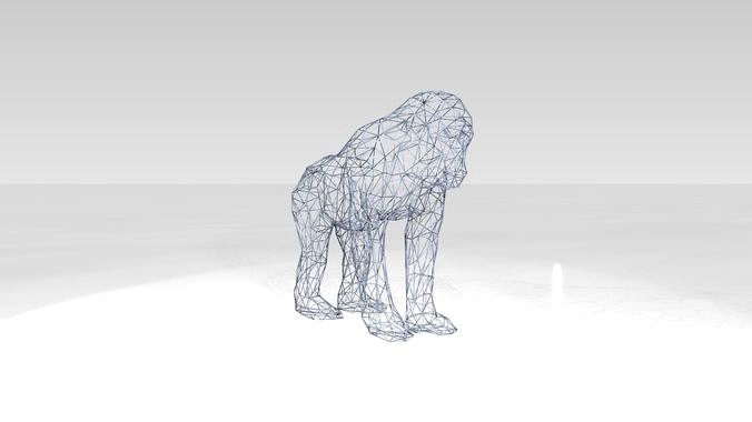 Monkey Wireframe